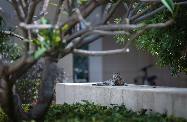 怡境設計丨廣州南沙時代·香海彼岸