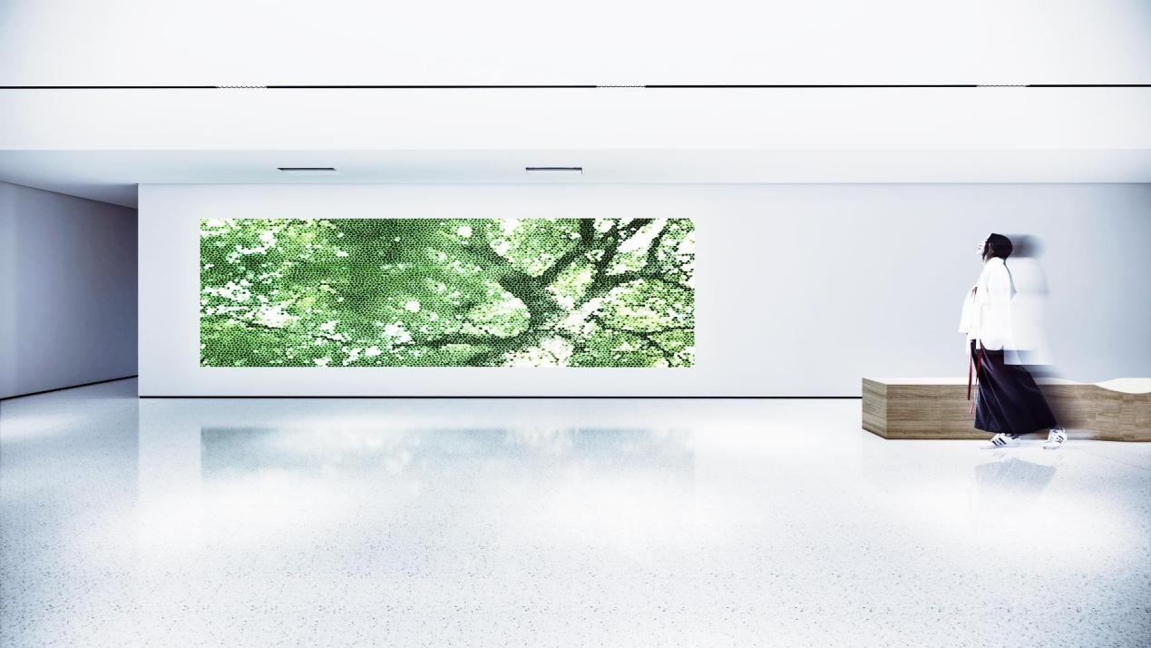 盛宇宏：從建筑融入到自然生長