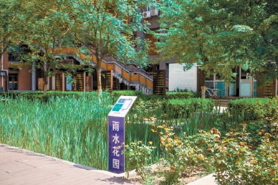 北京交通大學(xué)“雨水花園”里的秘密
