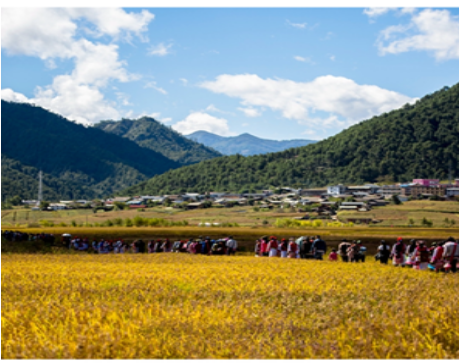 基于三態合一的高原山地鄉村振興
