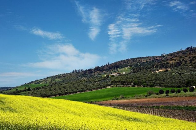 基于三態合一的高原山地鄉村振興