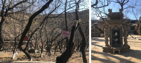 張鴿娟：西北鄉(xiāng)村“共同營建”探討