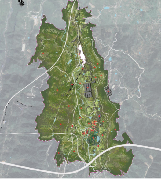 董莉莉：設計介入鄉村多維路徑探索