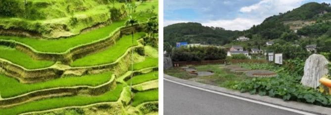 董莉莉：設計介入鄉村多維路徑探索