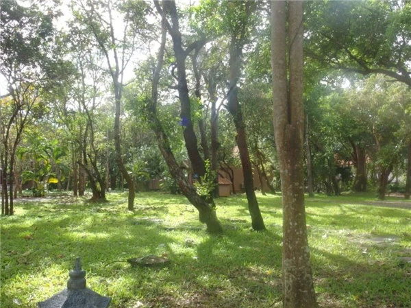 TOA諾風(fēng)景觀設(shè)計(jì)丨Binh Chau MINERA 酒店