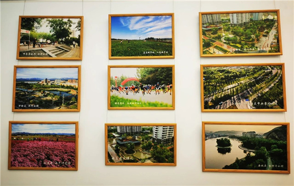 ?張家口市舉辦綠化美化主題活動 展賽結合精彩紛呈