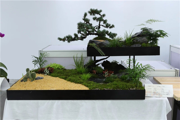 ?張家口市舉辦綠化美化主題活動 展賽結合精彩紛呈