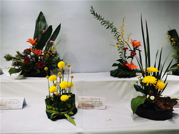 ?張家口市舉辦綠化美化主題活動 展賽結合精彩紛呈