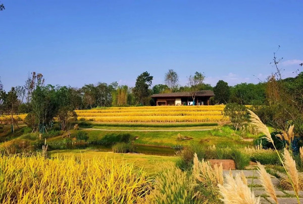 2021生態保護修復創新實踐論壇將于7月22日在重慶舉辦