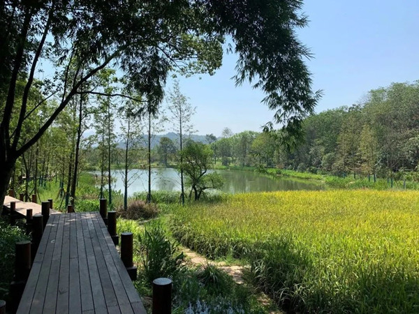 2021生態保護修復創新實踐論壇將于7月22日在重慶舉辦