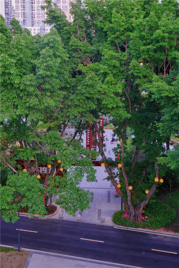 嶺南設計丨東莞鰜魚洲文化創意產業園