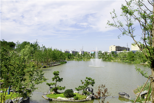 華藝園林丨太湖龍山智慧人防公園