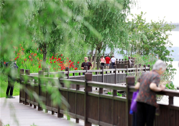 嶺南設計丨衡陽東洲島綜合開發景觀設計