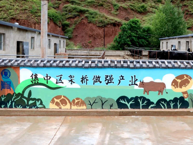 天津大學用“說話的景觀墻”扮靚美麗鄉村