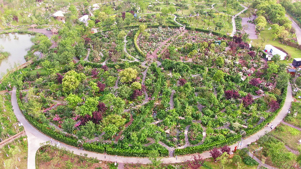 二木丨祥源星球花園
