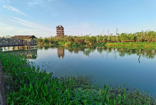 二木丨祥源星球花園