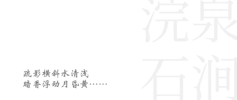 凱斯設(shè)計(jì)丨中鼎?公園首府