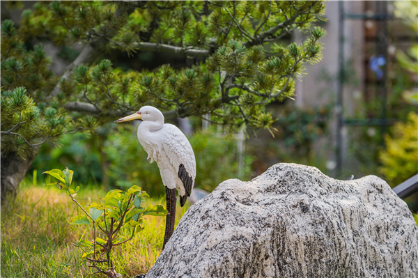 美匯蘭亭丨一生一庭院，亦詩亦遠方