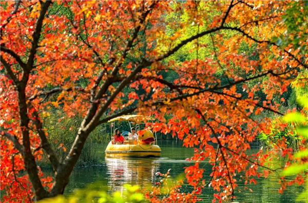 可齋景觀丨寧波·鄞州公園一期八景提升