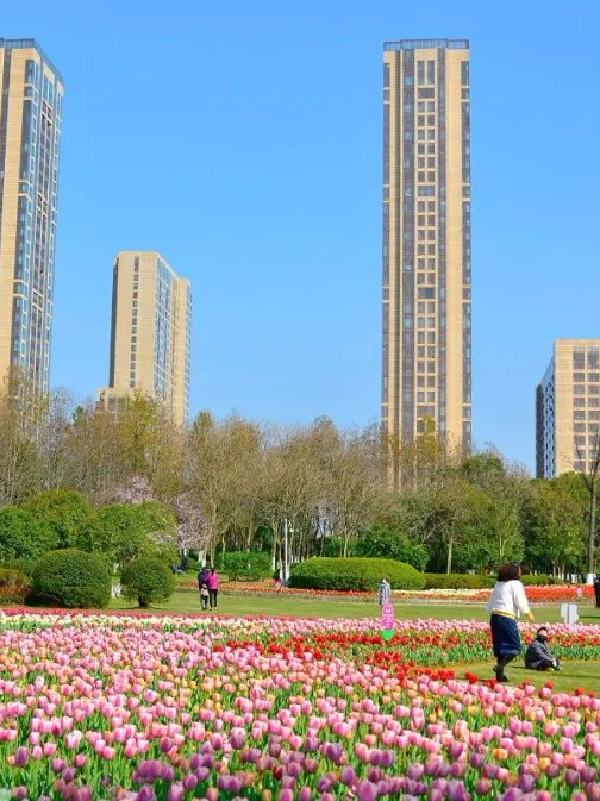 可齋景觀丨寧波·鄞州公園一期八景提升