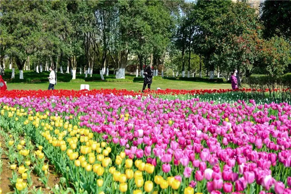 可齋景觀丨寧波·鄞州公園一期八景提升