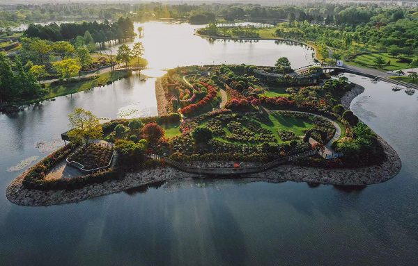 辰山植物園胡永紅：為城市保留泥土記憶