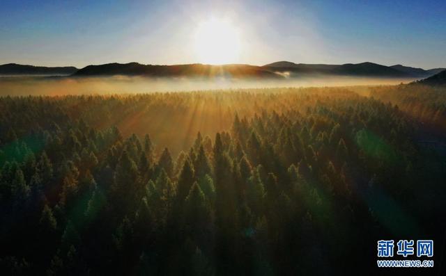 塞罕壩，習近平為何如此關注？