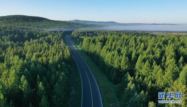 塞罕壩，習近平為何如此關注？