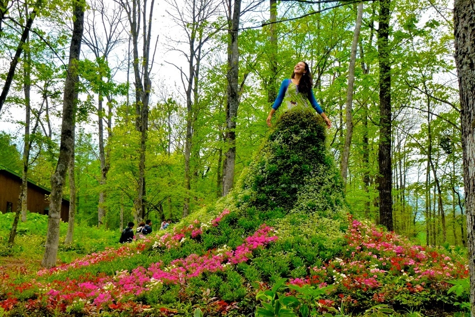 日本知名景觀設(shè)計(jì)師高野文彰逝世