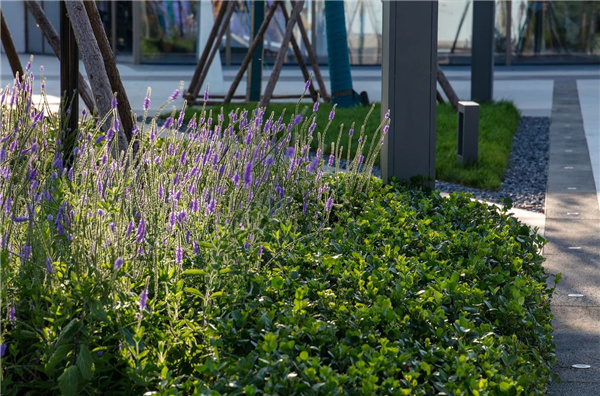 寶佳豐丨遠洋秦皇島蔚藍海岸商業街