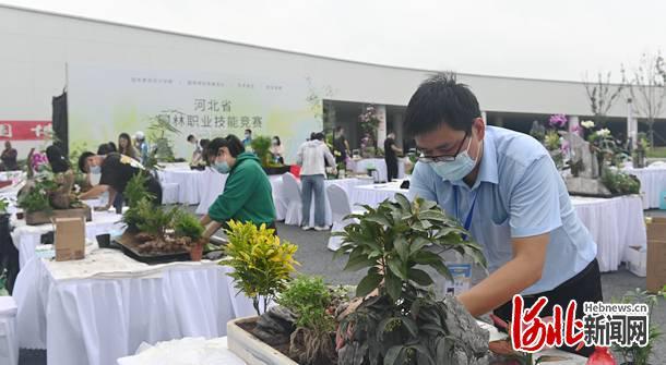2021年河北省園林職業(yè)技能競(jìng)賽在唐山開賽