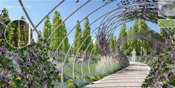 椿尚設計丨松山康養濕地公園