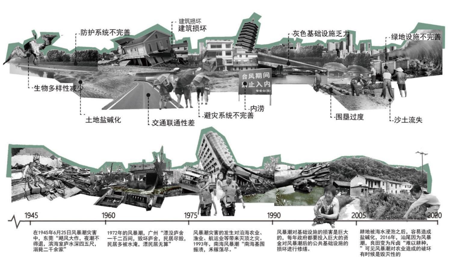 第十二屆園冶杯一等獎作品《海晏岸清》解讀