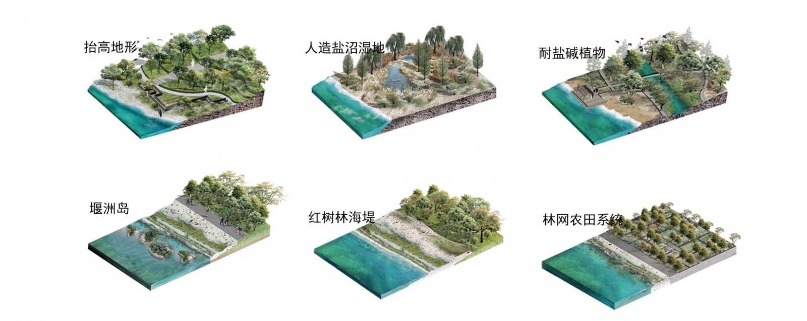 第十二屆園冶杯一等獎作品《海晏岸清》解讀