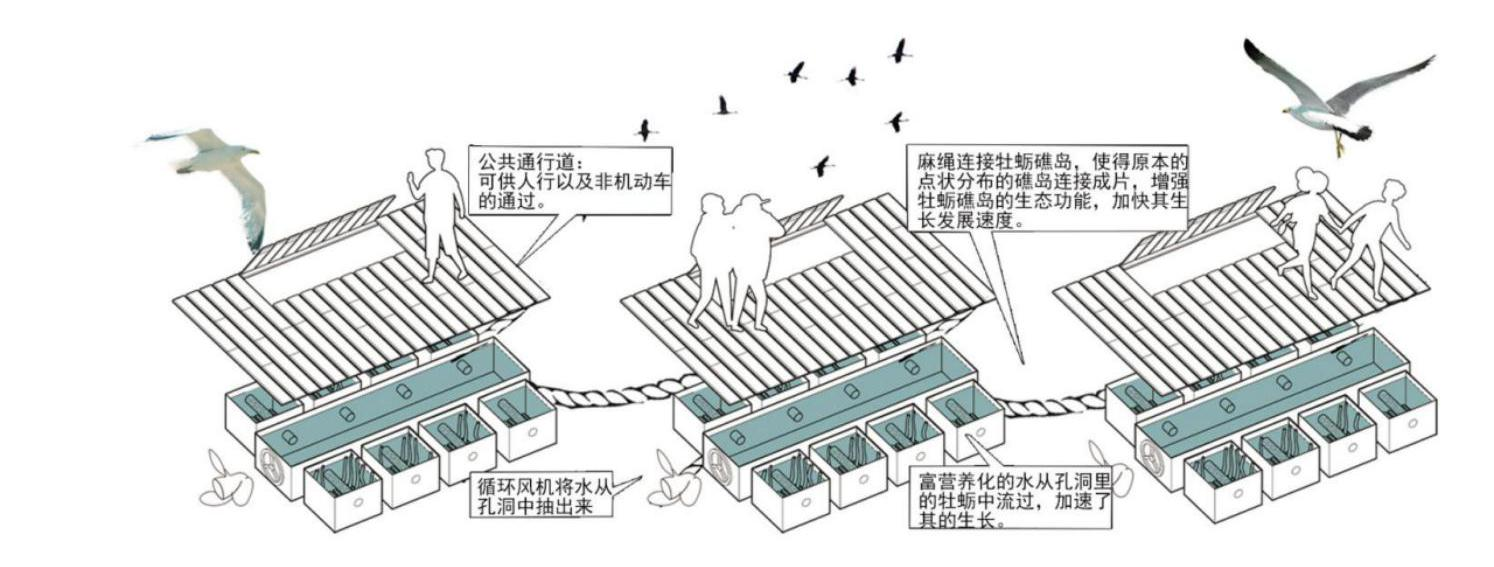 第十二屆園冶杯一等獎作品《海晏岸清》解讀