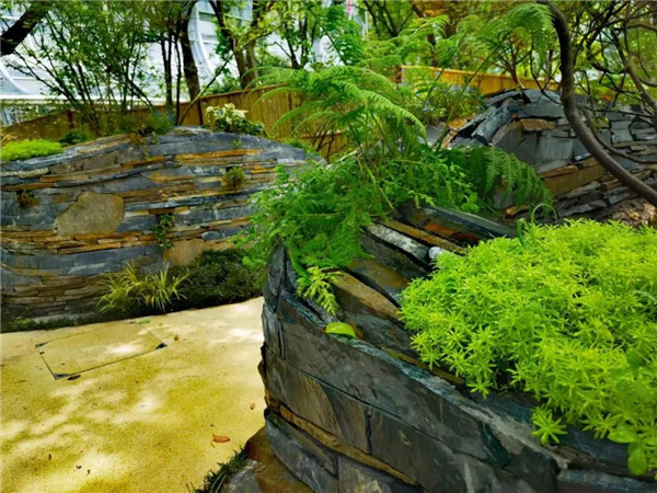 北斗星景觀丨世界會(huì)客廳花園