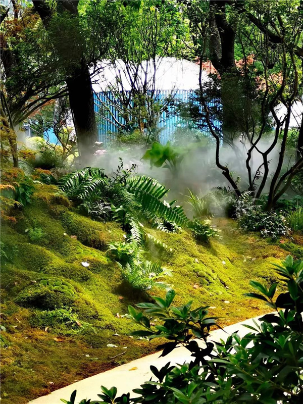 北斗星景觀丨世界會(huì)客廳花園