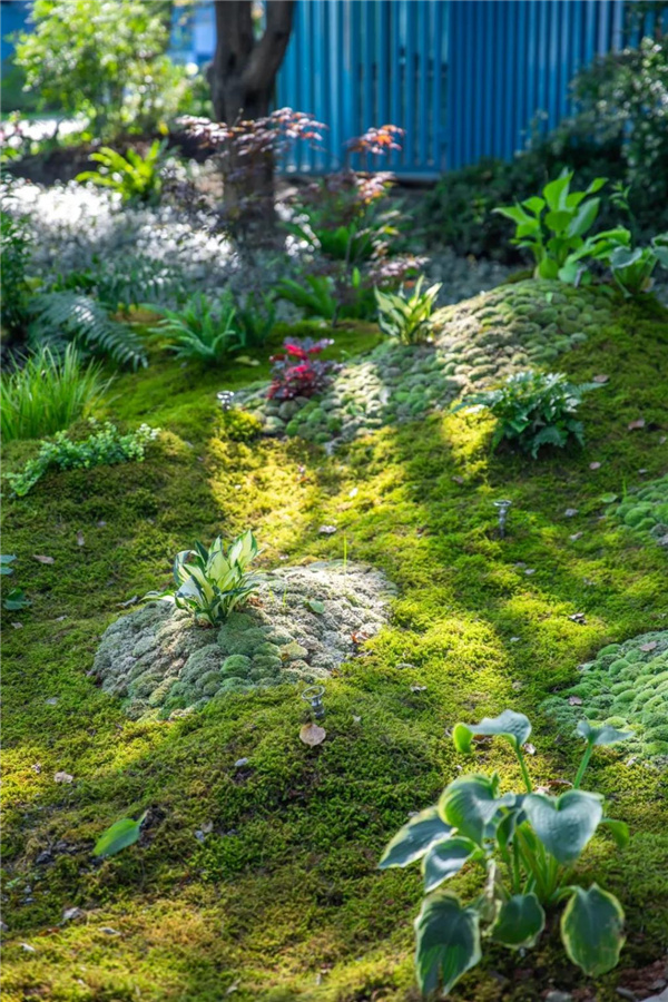 北斗星景觀丨世界會(huì)客廳花園