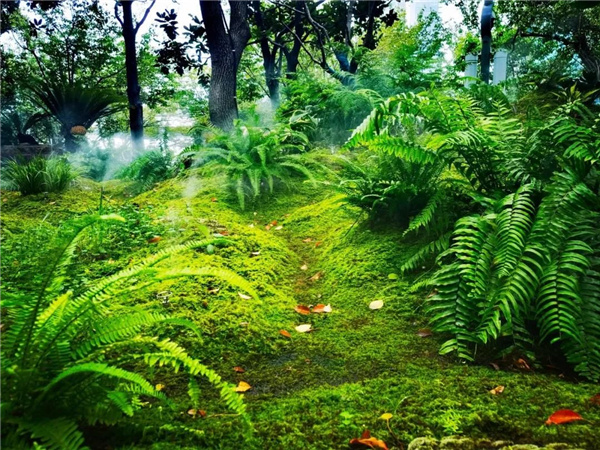 北斗星景觀丨世界會(huì)客廳花園