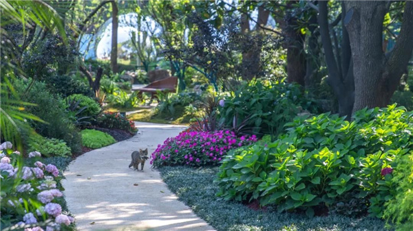 北斗星景觀丨世界會(huì)客廳花園