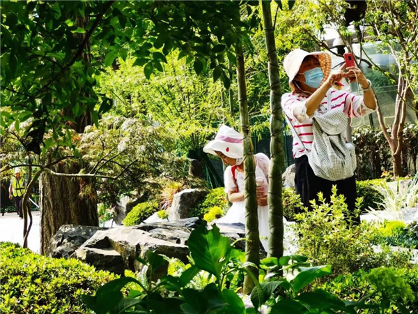 北斗星景觀丨世界會(huì)客廳花園