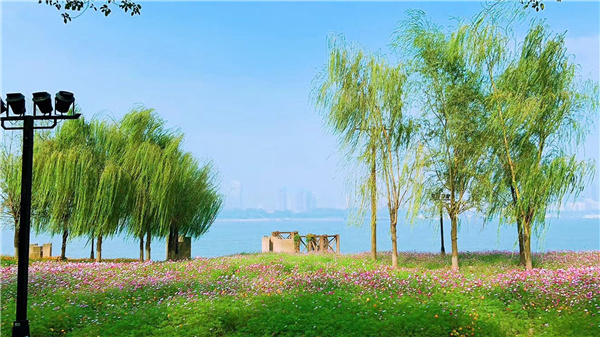 長江左右岸江灘觀光道路景觀