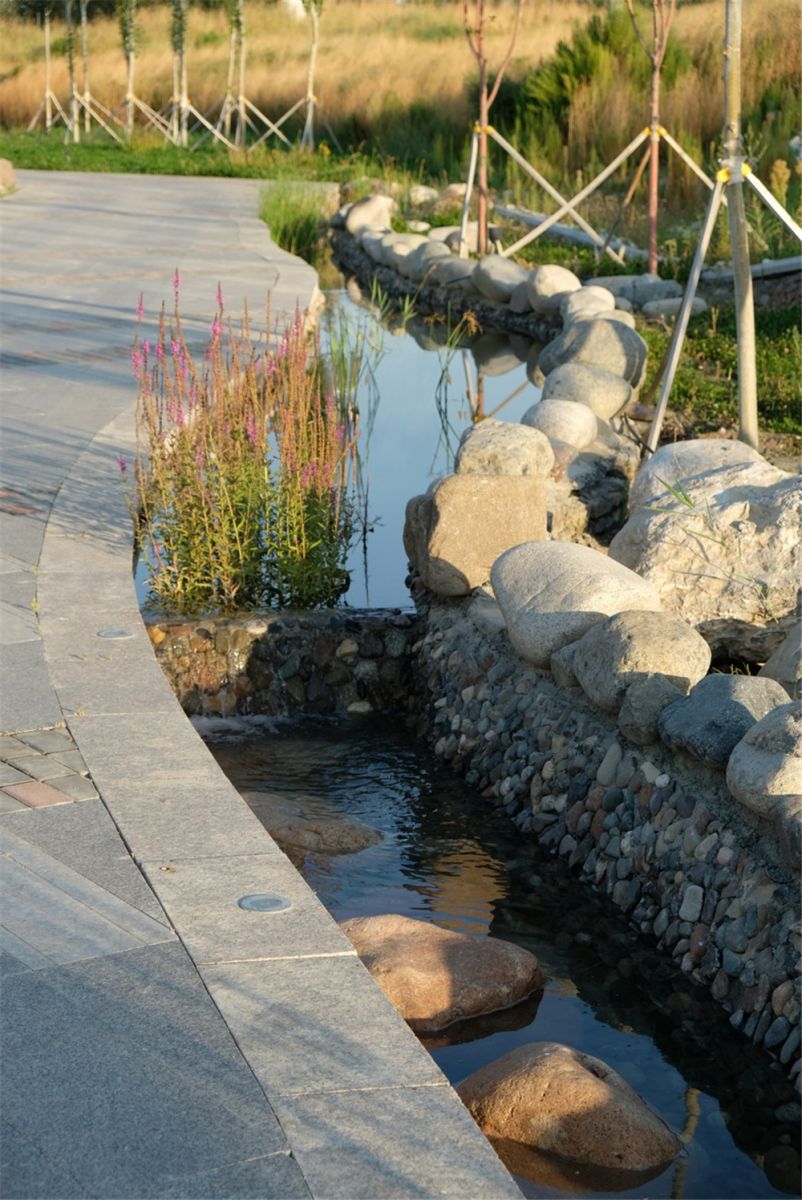 章俊華作品丨差異中的表述——博樂金三角工業區帶狀公園(一期)