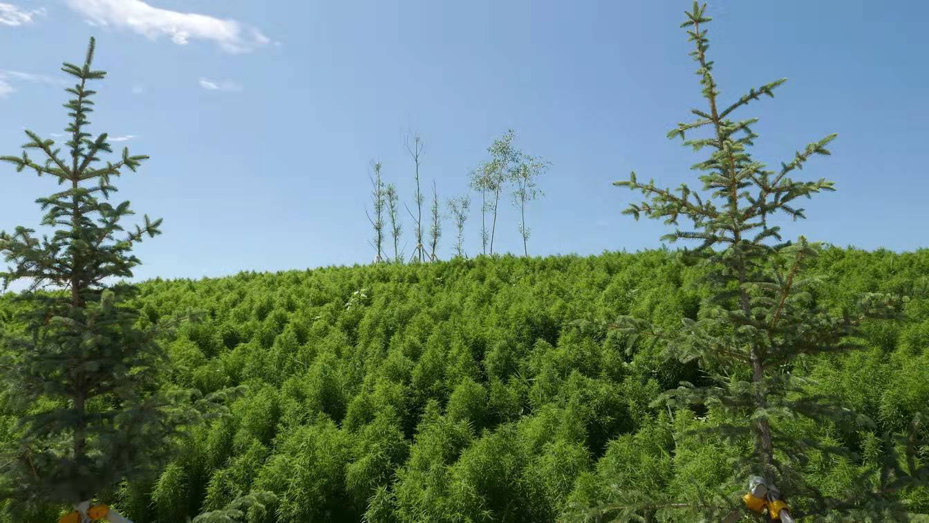 章俊華作品丨差異中的表述——博樂金三角工業區帶狀公園(一期)