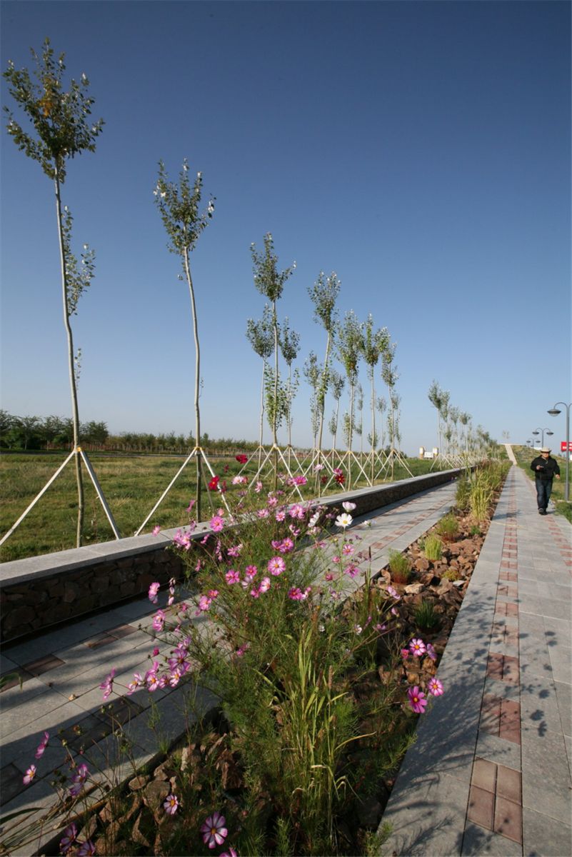 章俊華作品丨差異中的表述——博樂金三角工業區帶狀公園(一期)