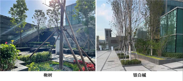 寶佳豐國際設(shè)計丨中海北京金安環(huán)宇薈