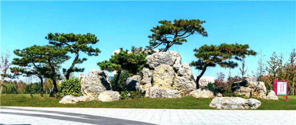 平輿縣縣城綠地景觀提升改造工程設(shè)計(jì)施工一體化項(xiàng)目(EPC)