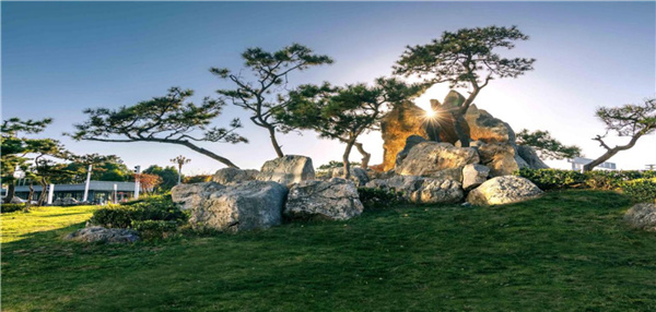 平輿縣縣城綠地景觀提升改造工程設(shè)計(jì)施工一體化項(xiàng)目(EPC)