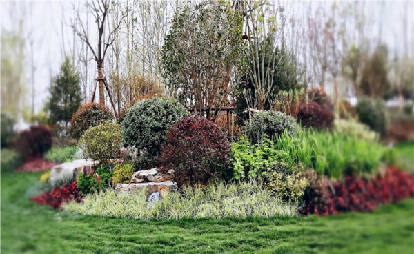 平輿縣縣城綠地景觀提升改造工程設(shè)計(jì)施工一體化項(xiàng)目(EPC)