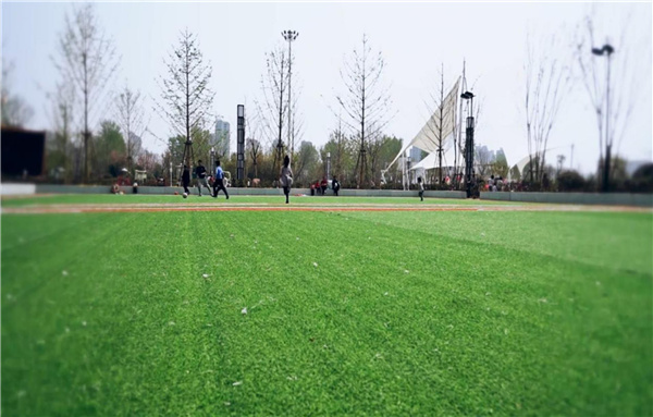 平輿縣縣城綠地景觀提升改造工程設(shè)計(jì)施工一體化項(xiàng)目(EPC)